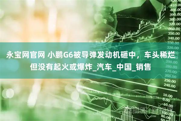 永宝网官网 小鹏G6被导弹发动机砸中，车头稀烂但没有起火或爆炸_汽车_中国_销售
