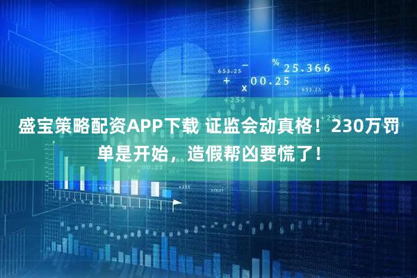 盛宝策略配资APP下载 证监会动真格！230万罚单是开始，造假帮凶要慌了！